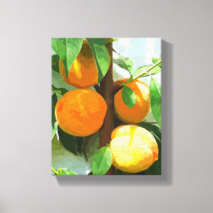 PEACHES CANVAS PRINT