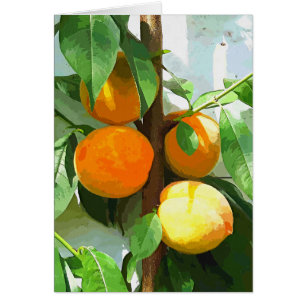 PEACHES Card