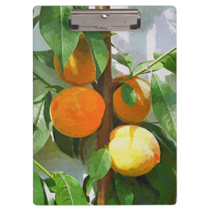 PEACHES CLIPBOARD