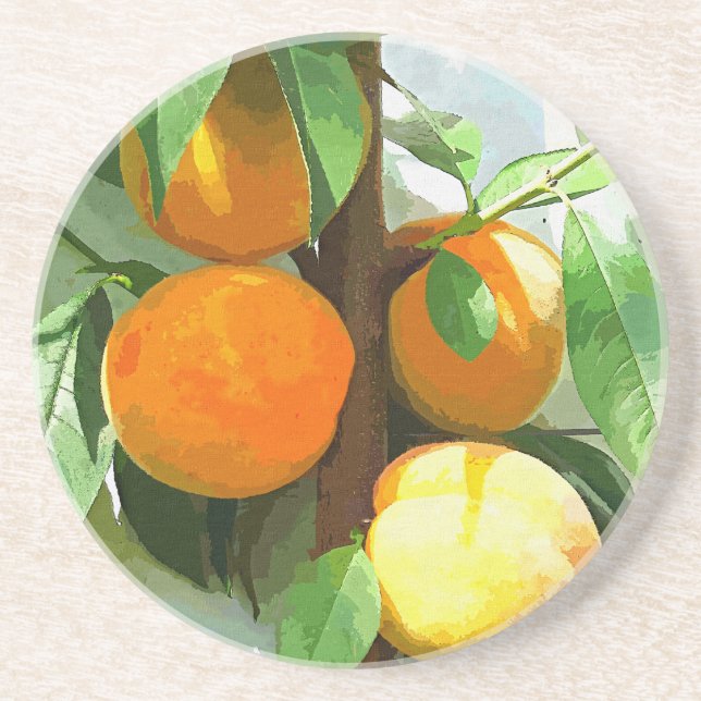 PEACHES COASTER (Front)