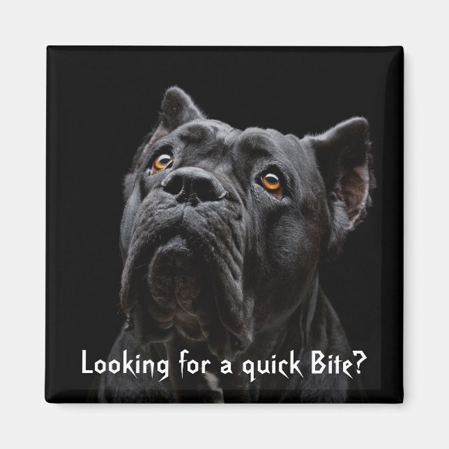 Peaches Magnet (Front)