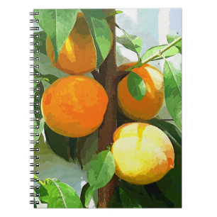 PEACHES NOTEBOOK