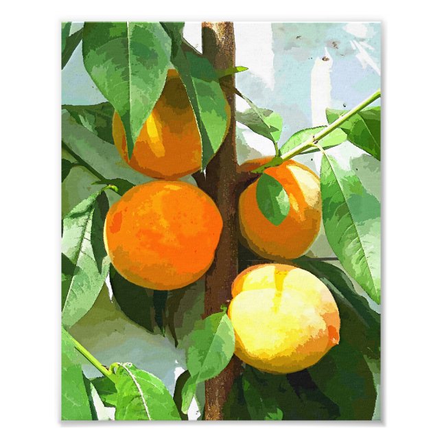 PEACHES PHOTO PRINT (Front)