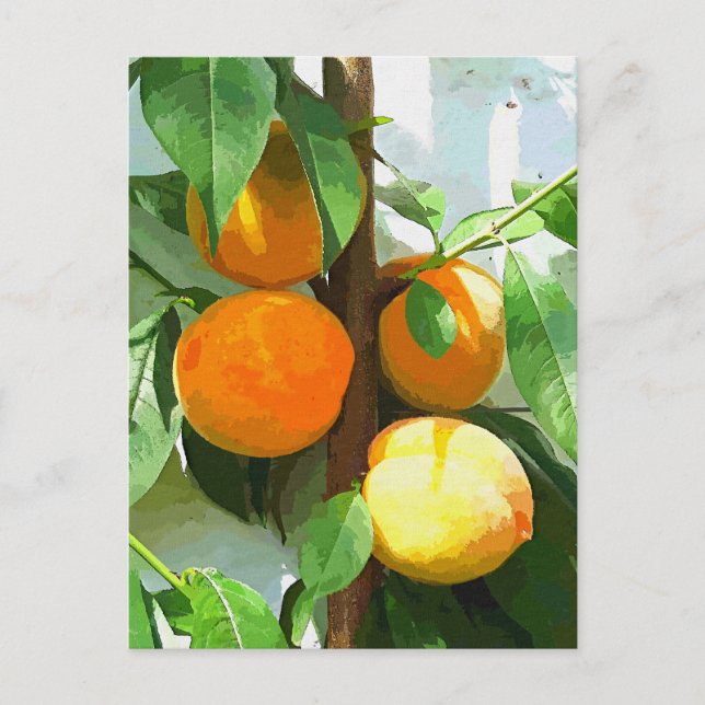 PEACHES POSTCARD (Front)