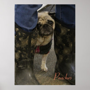 Peaches Poster