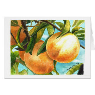 Peaches ready to be plucked