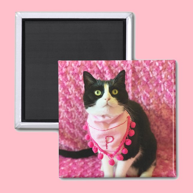Peaches the Tuxedo Cat Pink Magnet (Creator Uploaded)