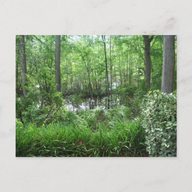 "PEACHTREE CITY, GA" POSTCARD (Front)