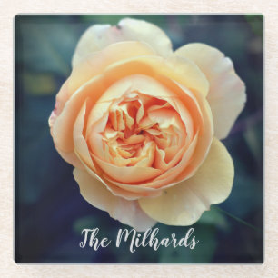 Peachy Orange Garden Rose Flower Personalised Glass Coaster