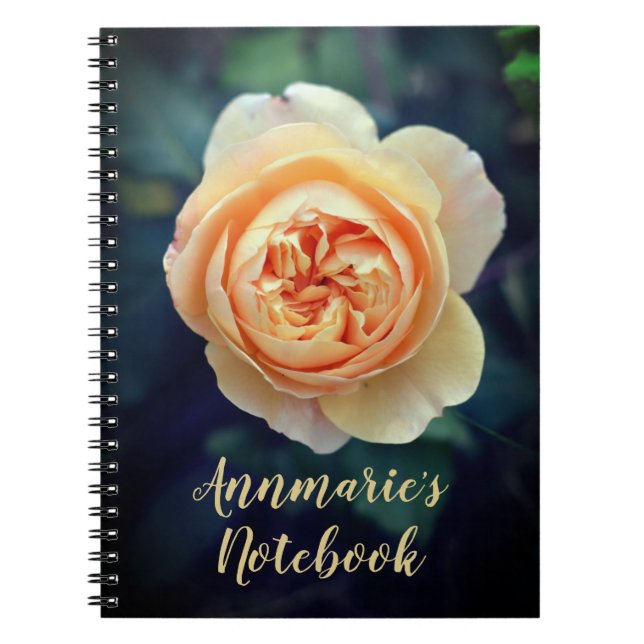 Peachy Orange Garden Rose Flower Personalised Notebook (Front)