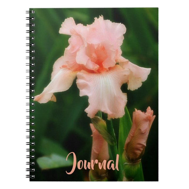Peachy Pink Iris Flower Art Personal Journal (Front)