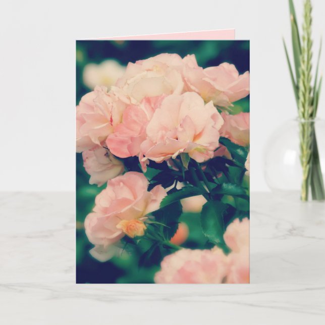 Peachy Pink Roses Any Occasion Greeting Card (Front)