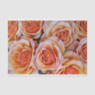 Peachy Pink Roses Closeup Photo Decoupage Tissue Paper