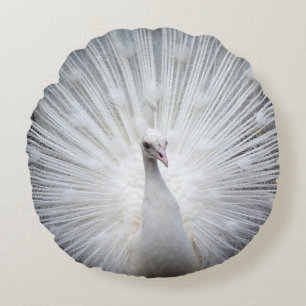 Peacock20160401 Round Cushion