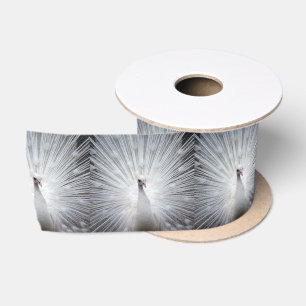 Peacock20160401 Satin Ribbon