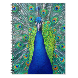 Peacock#1 Notebook