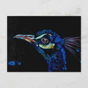 Peacock 1 postcard