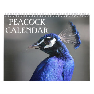 Peacock 2026 calendar