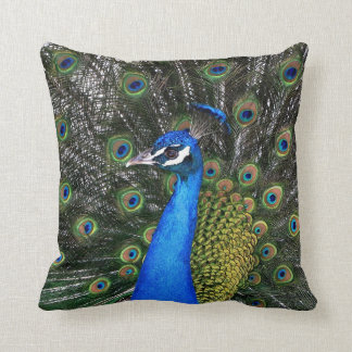 Peacock 20 X 20 Pillow