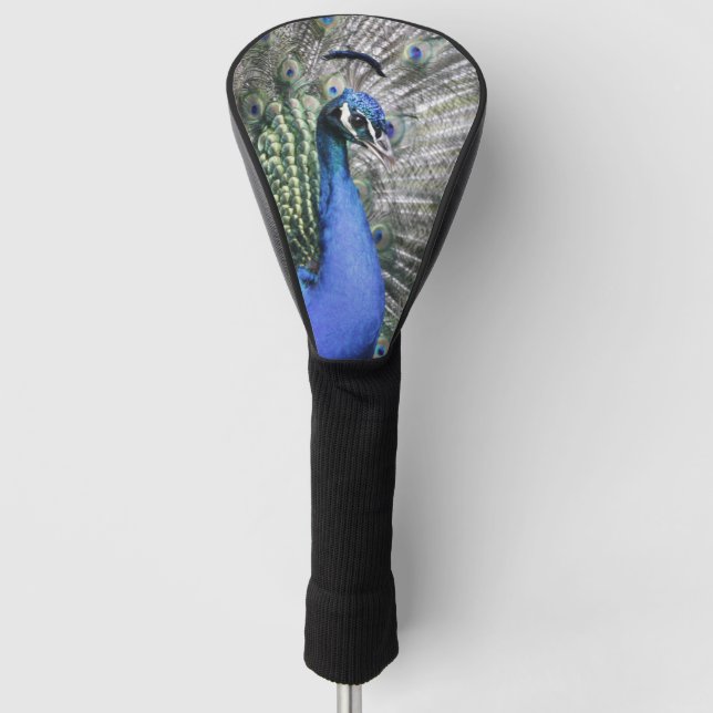 peacock 215 A Golf Head Cover (Front)