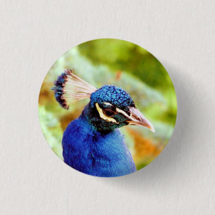 PEACOCK   3 CM ROUND BADGE