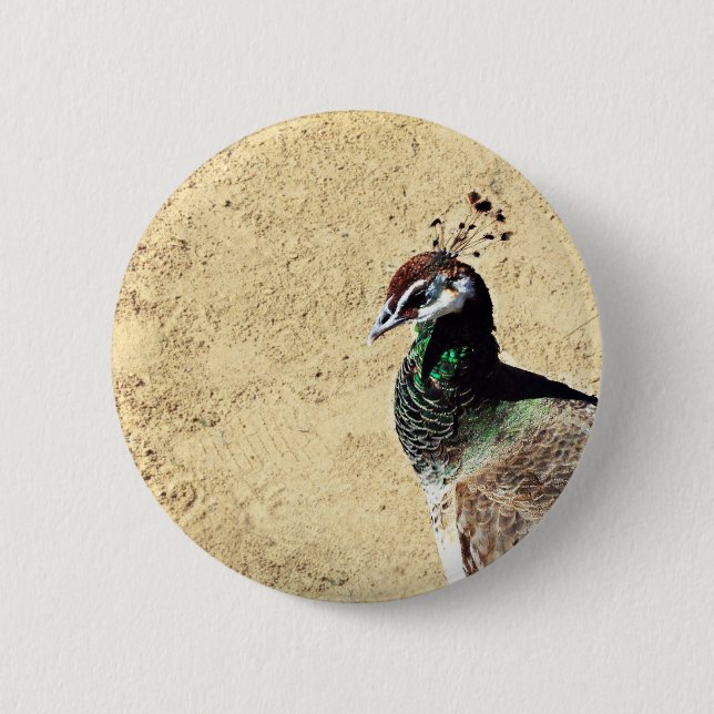 Peacock 6 Cm Round Badge (Front)