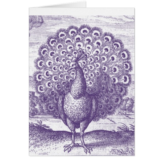 Peacock, a vintage engraving (Front)
