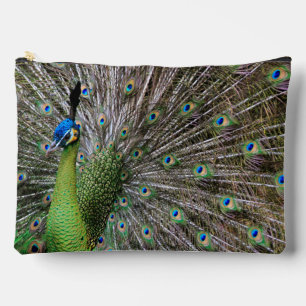 Peacock Accessory Pouch