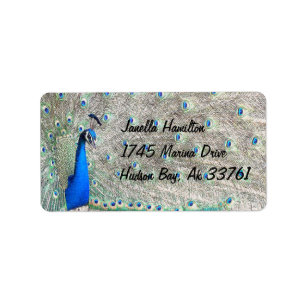 Peacock Address Labels