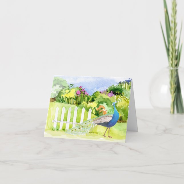 Peacock All Occasion Greeting Card (Front)