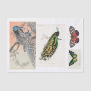 Peacock and butterfly decoupage tissue paper