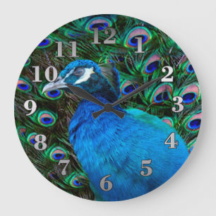 Peacock and Feather Large Clock