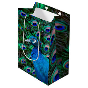 Peacock and Feather Medium Gift Bag