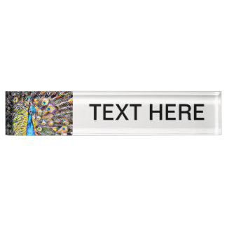 peacock and feathers artistic graphic nameplate