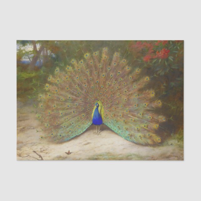 Peacock and Peacock Butterfly, Art Illustration Tissue Paper (Front)