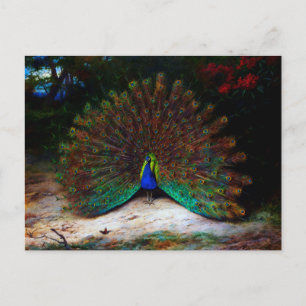 Peacock and Peacock Butterfly Postcard