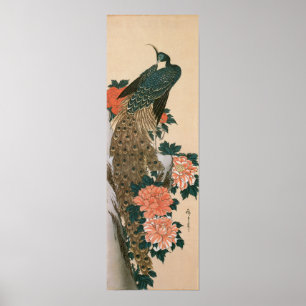 Peacock and Peonies by Hiroshige, Japanese Art Poster