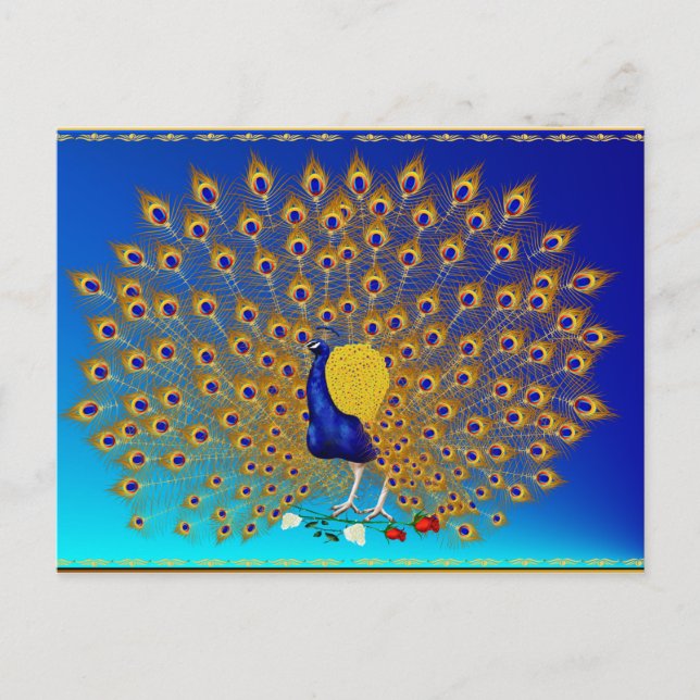 Peacock and Roses Postcard (Front)