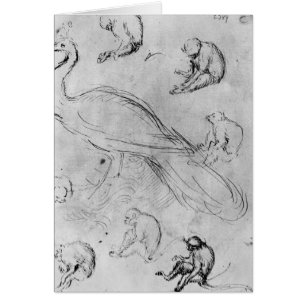 Peacock and Six Monkeys