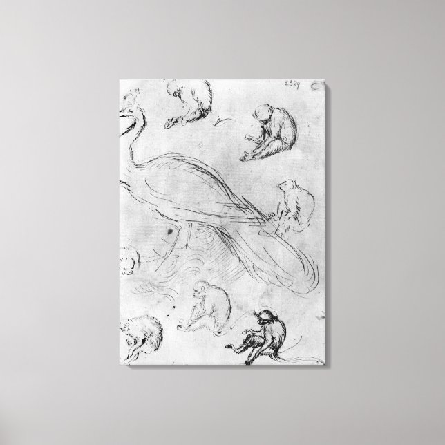 Peacock and Six Monkeys Canvas Print (Front)
