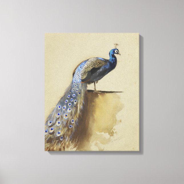 Peacock | Archibald Thorburn Canvas Print (Front)