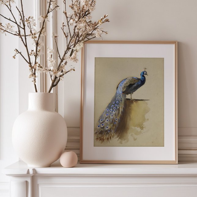 Peacock | Archibald Thorburn Poster (Creator Uploaded)