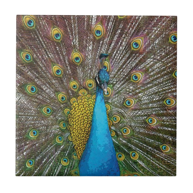 Peacock Art in Jewel Tone Colors Tile (Front)
