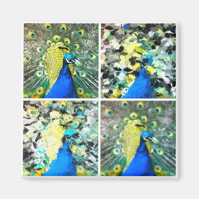 Peacock Art Magnet (Front)
