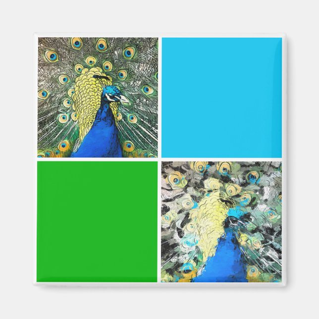 Peacock Art Magnet (Front)
