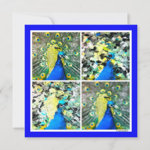 Peacock Art magnetic card