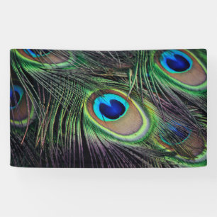 Peacock Banner