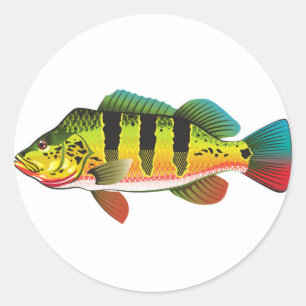 Peacock Bass bright Ocean Gamefish illustration Classic Round Sticker