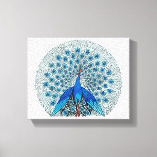 Peacock Beautiful Drawing Canvas Print