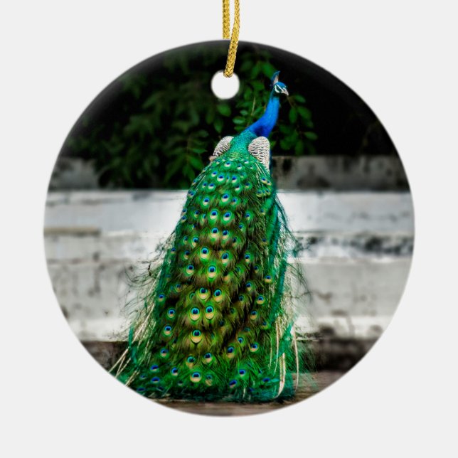 peacock beautiful feather art colours ceramic tree decoration (Front)